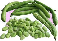 broad beans