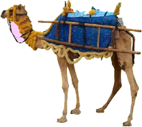 camel