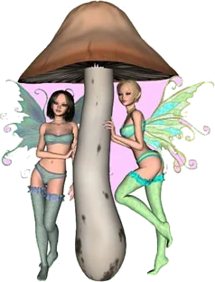 fairies