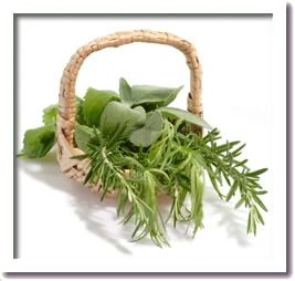 love herbs