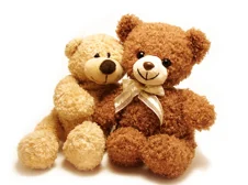lovers teddies