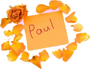 love attraction spell using rose petals