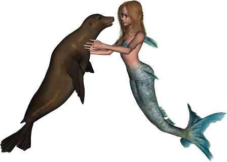 mermaid & seal