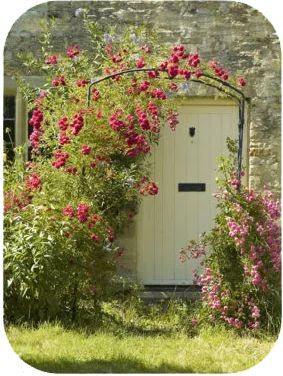 rose cottage