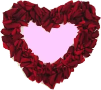 love spell using rose petals