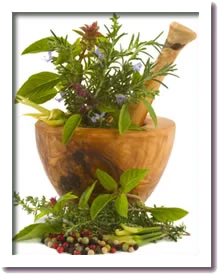 spell herbs
