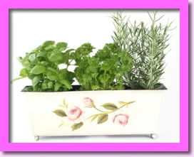 window box